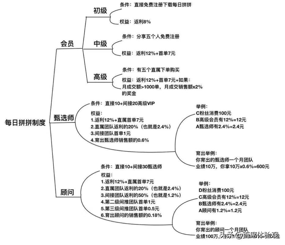 分销型社交电商商业模式,目前社交电商主要有哪几种模式