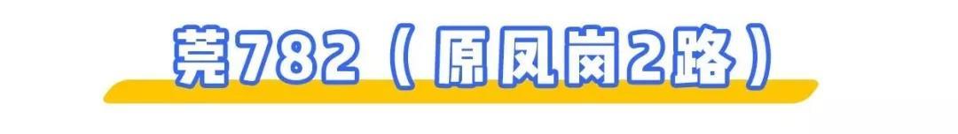 2023年东莞公交线路一览表,东莞公交12号线路图