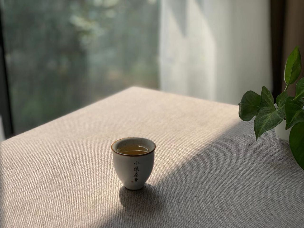 如何识别做旧白茶,认清做旧白茶其实很简单