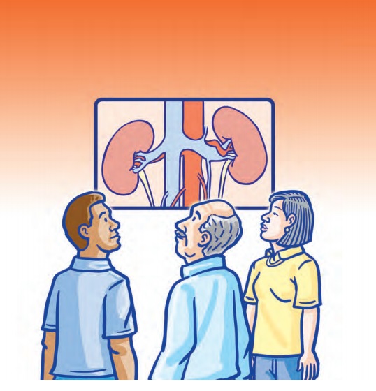 肾脏的健康与保护,关爱肾脏健康从现在做起