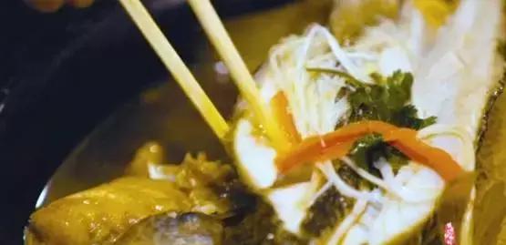 长途运输的鱼怎么入缸,活鱼在长途运输中该如何做