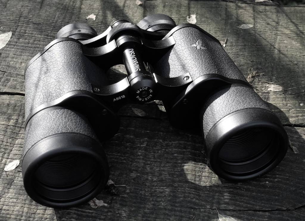 施华洛世奇蓝色天鹅测评,施华洛世奇闪烁白和白色对比