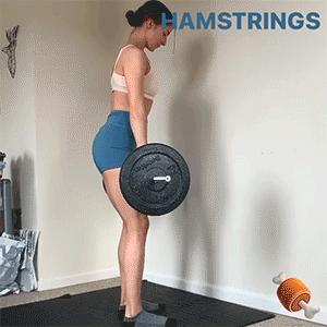 臀腿训练10套最佳动作图解,健身臀腿训练方法图解