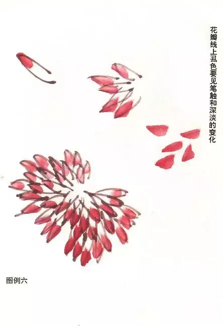 菊花国画入门简单教程,国画菊花画法技法教程