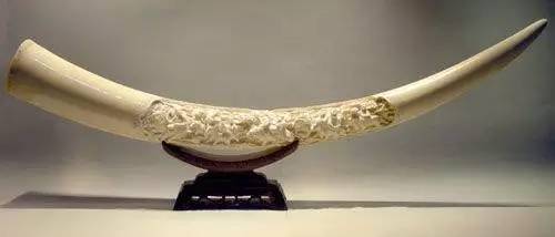 这10种文玩都是违禁品最好别碰,这5种文玩核桃千万不要买