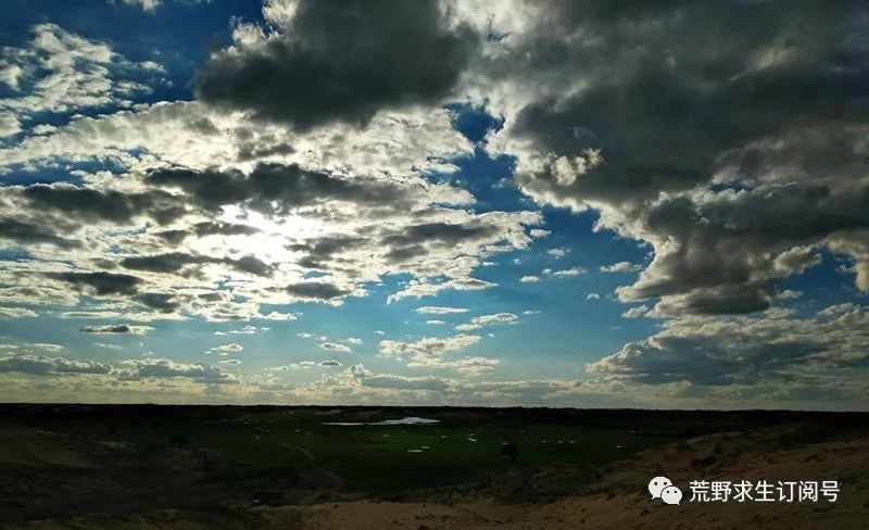 仙人掌在沙漠里是怎么生存下来的,在沙漠怎么才能活下来