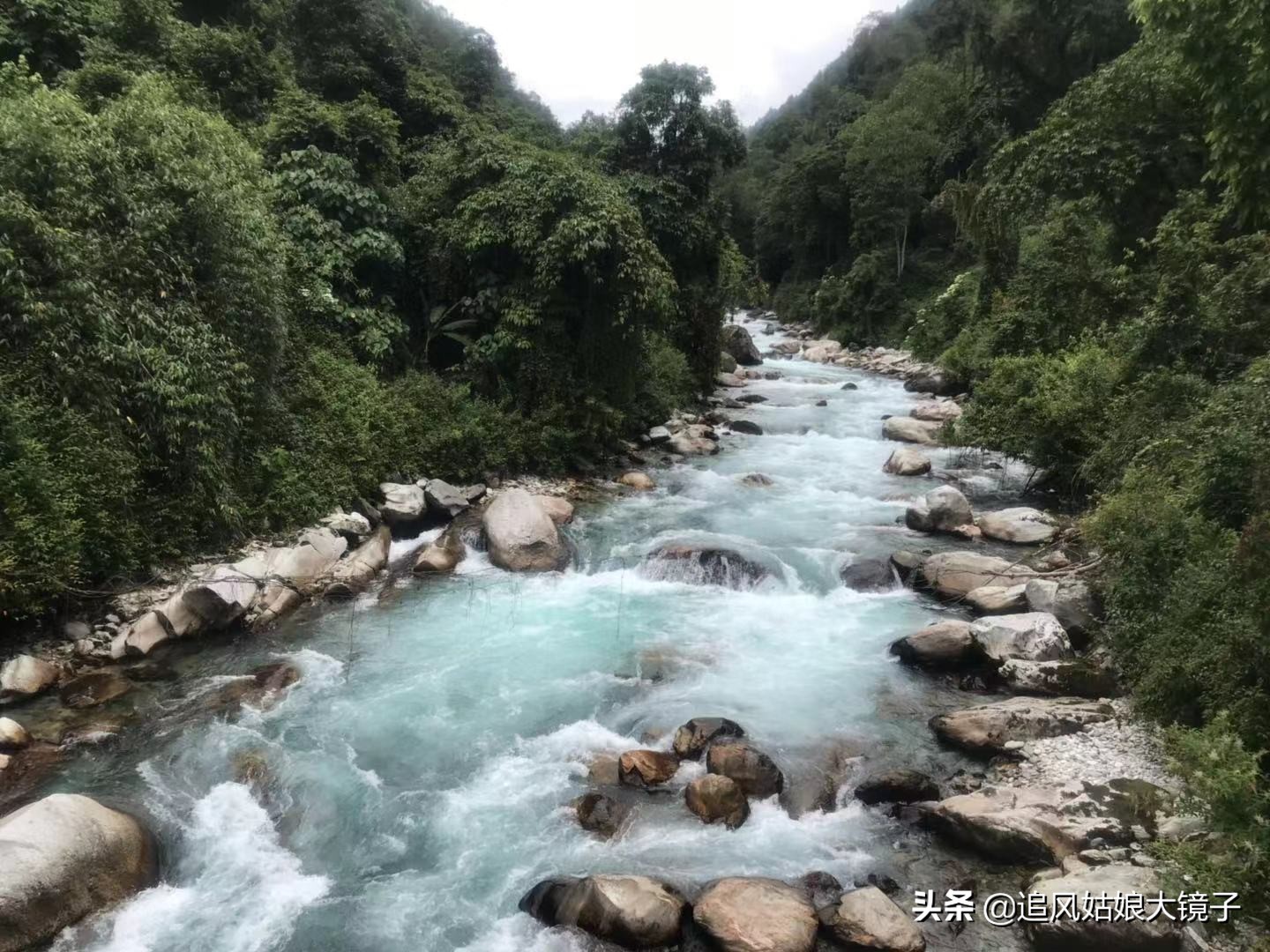 穿越到原始森林里面,穿越原始森林来种田