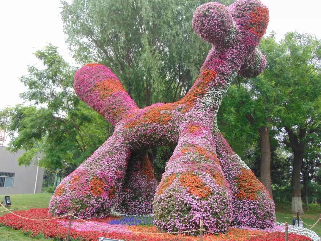 央视西安夜景浐灞,央视新闻直播西安电视台