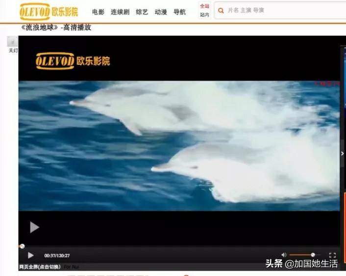 海外追剧网站推荐最新,海外可以看剧的视频网站