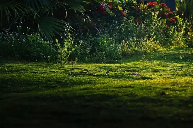 海南乐东旅游,海南小九寨公园