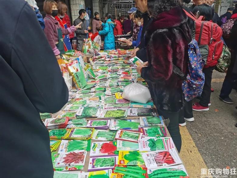 渝北区狗儿市场有卖猫的吗,渝北狗儿市场买狗