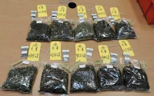 濂崇暀瀛︾敓甯繖鎵樿繍琛屾潕,鐣欏鐢熷甫濡堝鏃呰