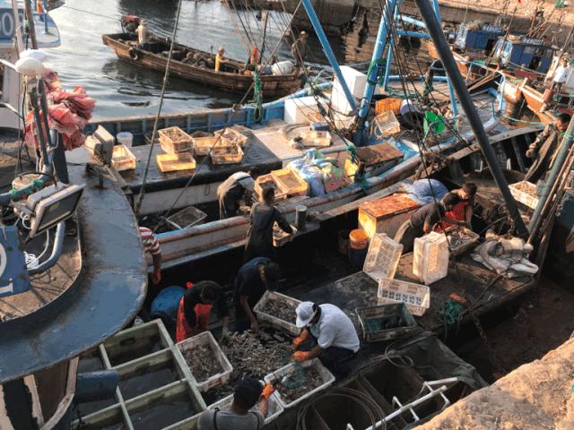 威海海鲜开海期,威海开海海鲜便宜还是贵