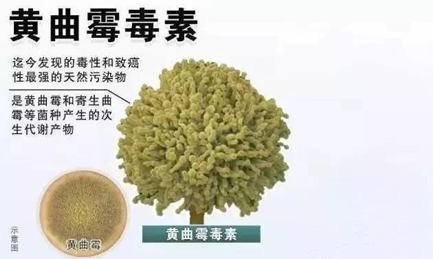 砧板变黑怎么搞干净,怎样去除砧板发霉变黑