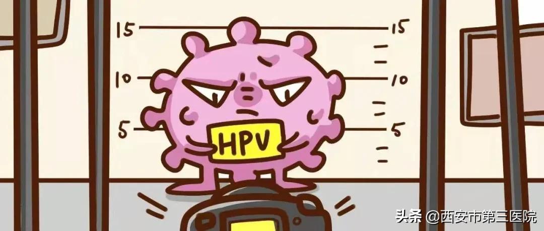 hpv健康科普这几类人你要多注意,hpv检测女性