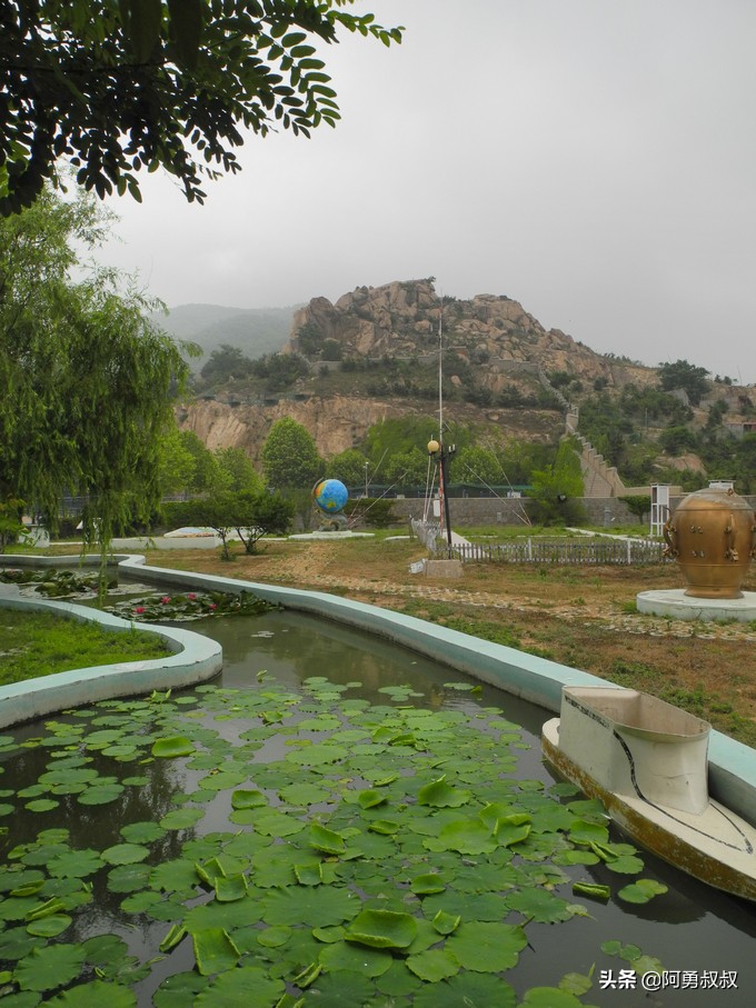 经验分享百强榜,青岛二中顶尖学子