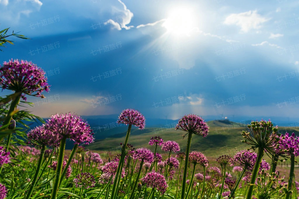 贵州景点自驾地图全图最新,贵州旅游攻略一览表