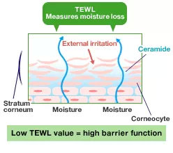 秋冬保湿补水6大误区,皮肤补水保湿的误区都有哪些