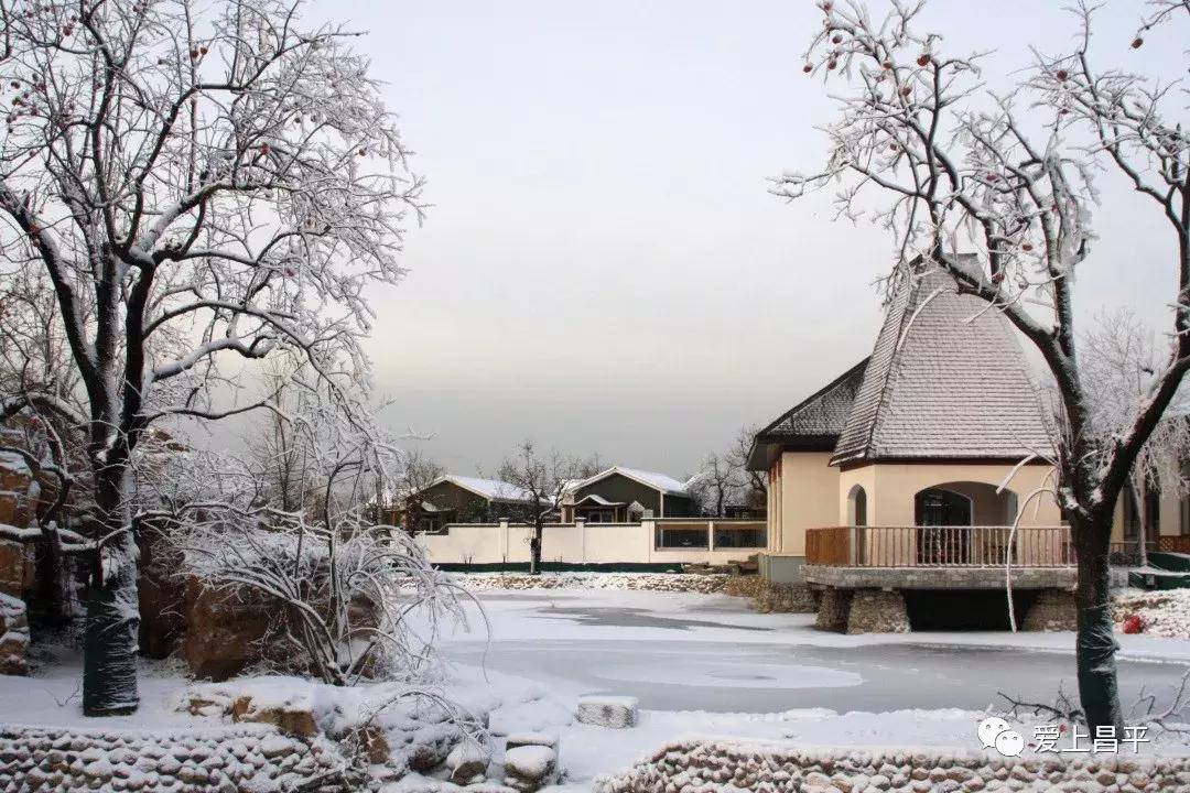 半价温泉票,暖冬特惠温泉票