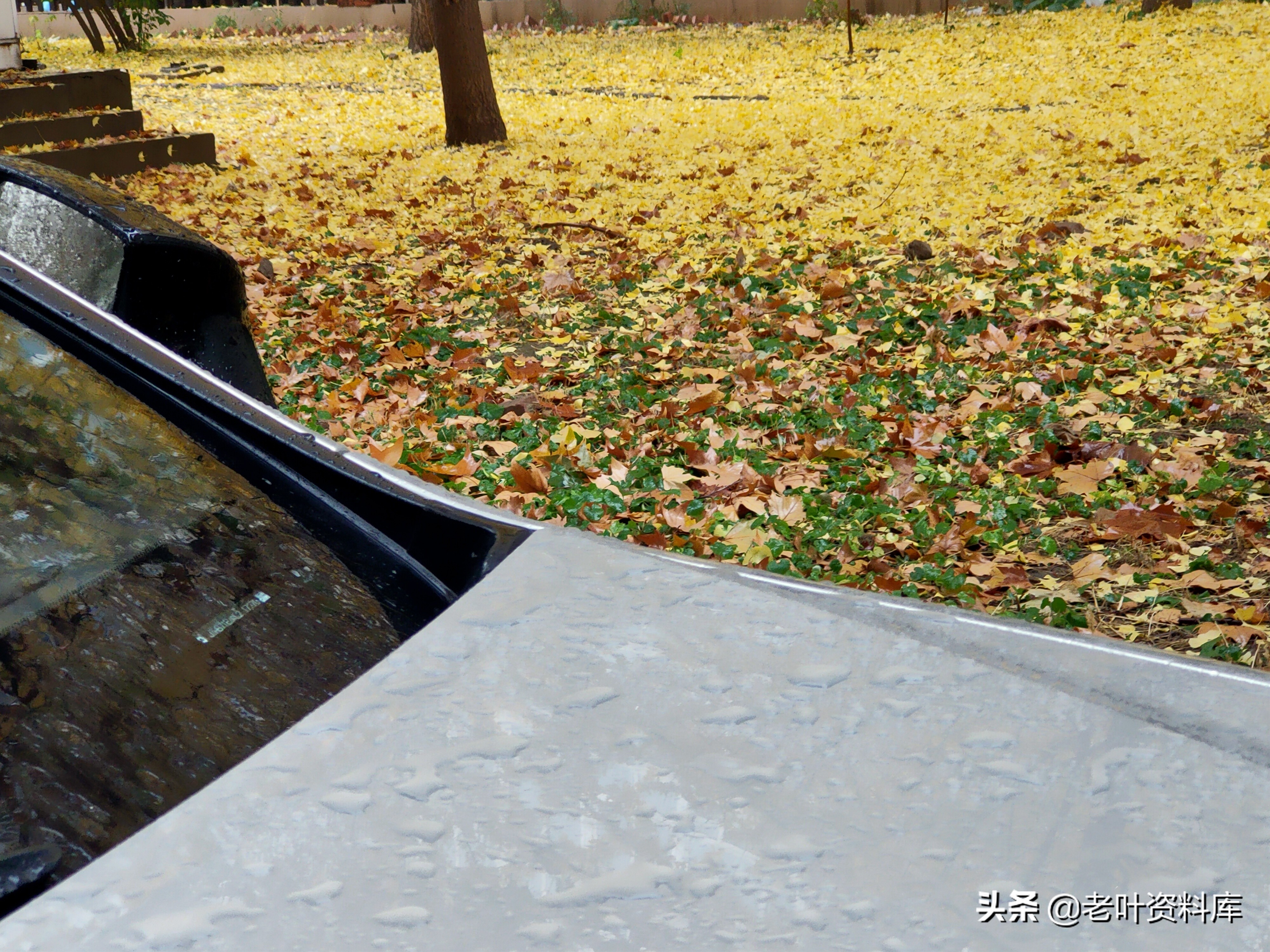 雷克萨斯es300h百公里多少个油,雷克萨斯es300h一公里2毛