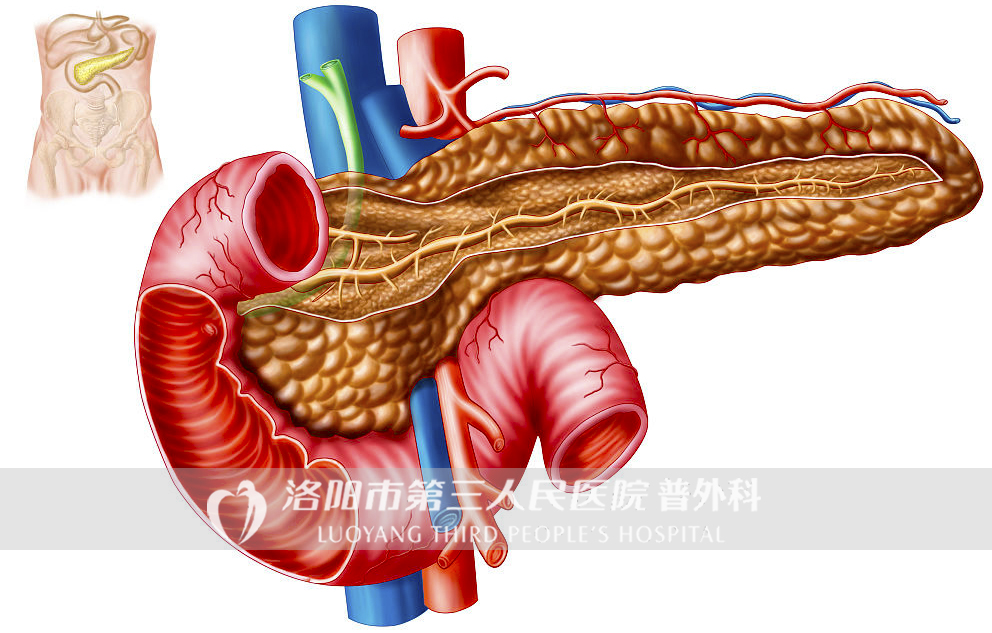 医学专家谈胰腺癌为什么这么可怕,为啥年轻人得了胰腺癌太惨了