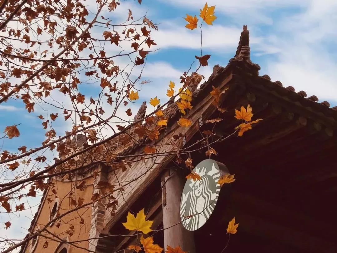 星巴克臻选店体验,西北第一家星巴克