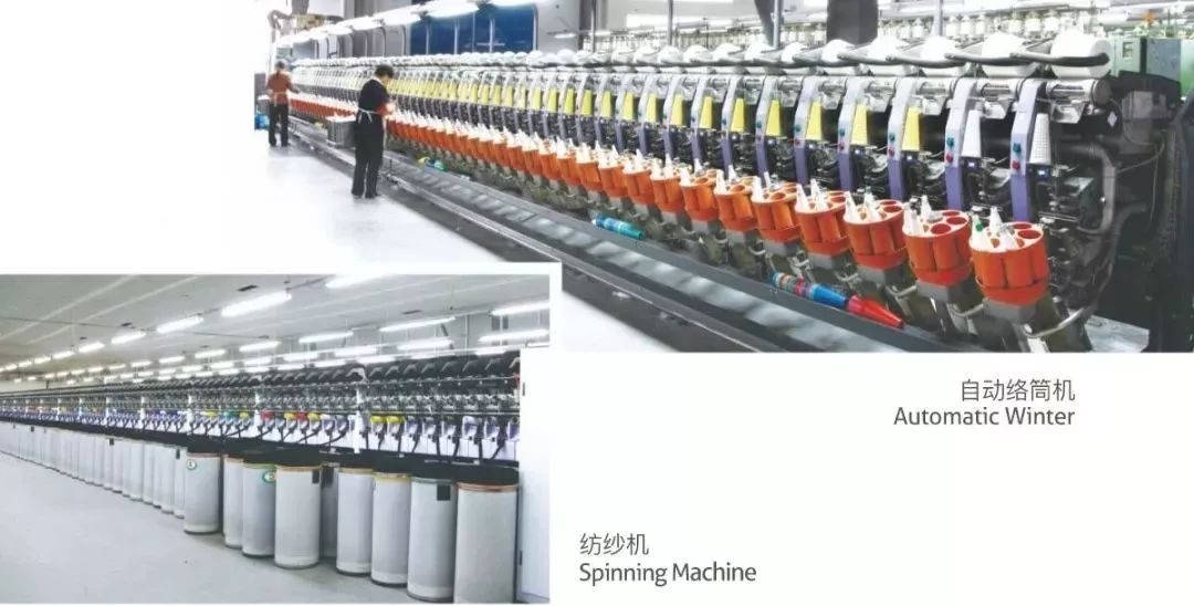 小蓝羊的鞋子怎么样,小蓝羊属于什么鞋