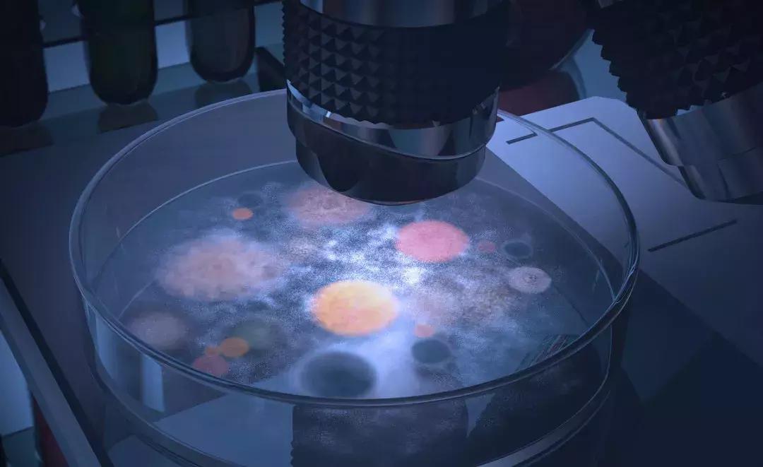 为什么要干扰素,干扰素最新进展