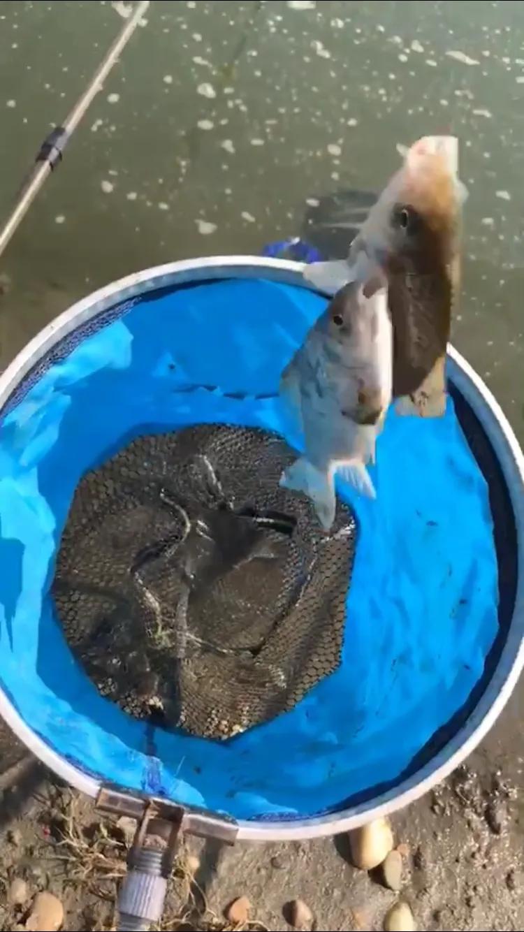 饵料放在汽车后备箱味道怎么解决,气温升高车内有异味