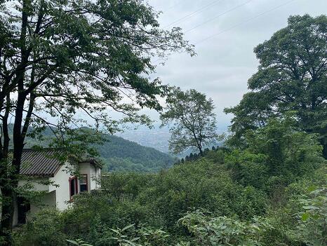 都江堰灵岩上山禅境民宿,都江堰灵岩寺小院