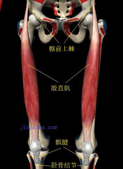 什么是全角什么是半角,Q角