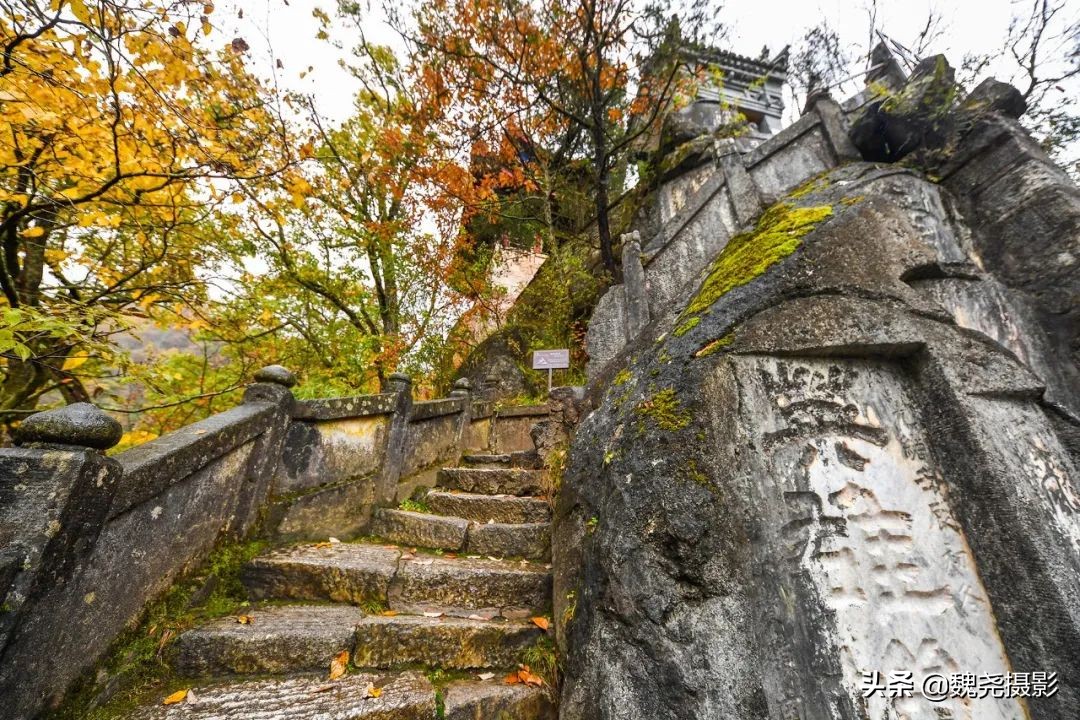 留坝秦岭之夜,留坝秦岭森林公园