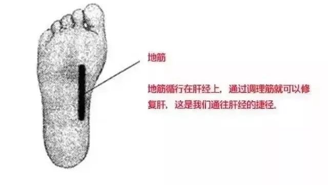 越是没本事的人为什么脾气越暴躁,脾气越倔越硬的人命一定很悲惨