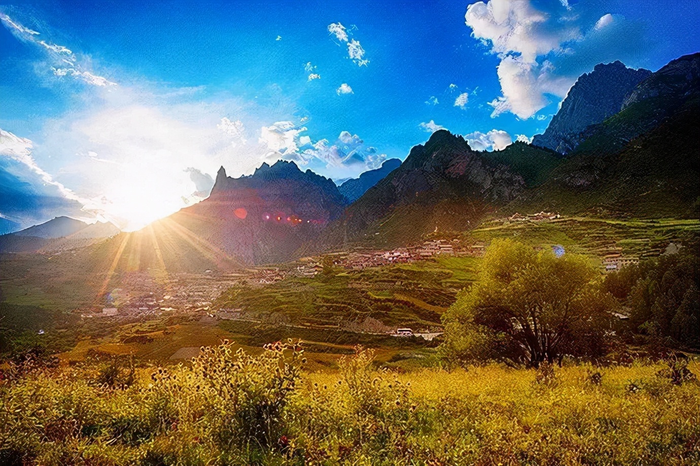 1011月错过它们,等于错过整个秋天!人少清净,随手一拍都是大片