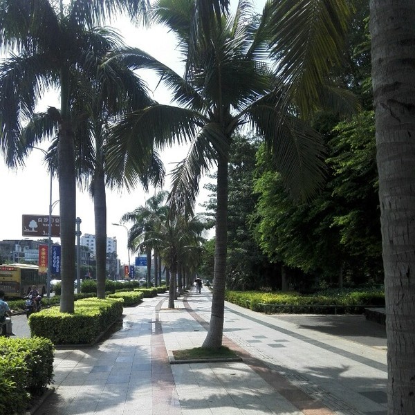 海口悠闲之旅深度体验椰城风情,椰海风情海口