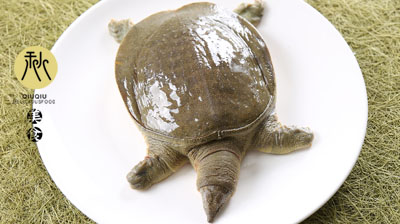 甲鱼汤如何去腥味,甲鱼汤怎么去腥味