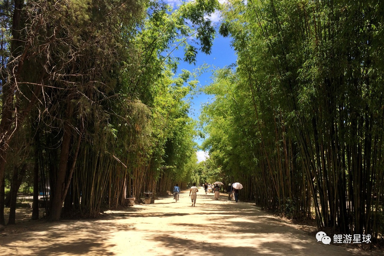 云南大理洱海网红景点打卡,云南大理好看的风景打卡处