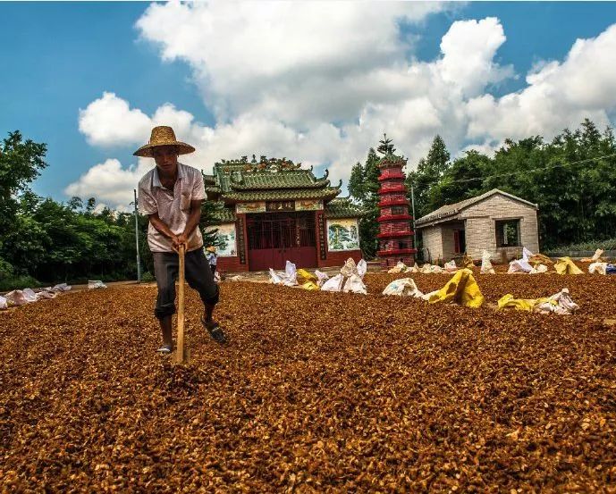 距海南仅20km，这个处女地比台湾风情、比三亚便宜，你错过了吗？