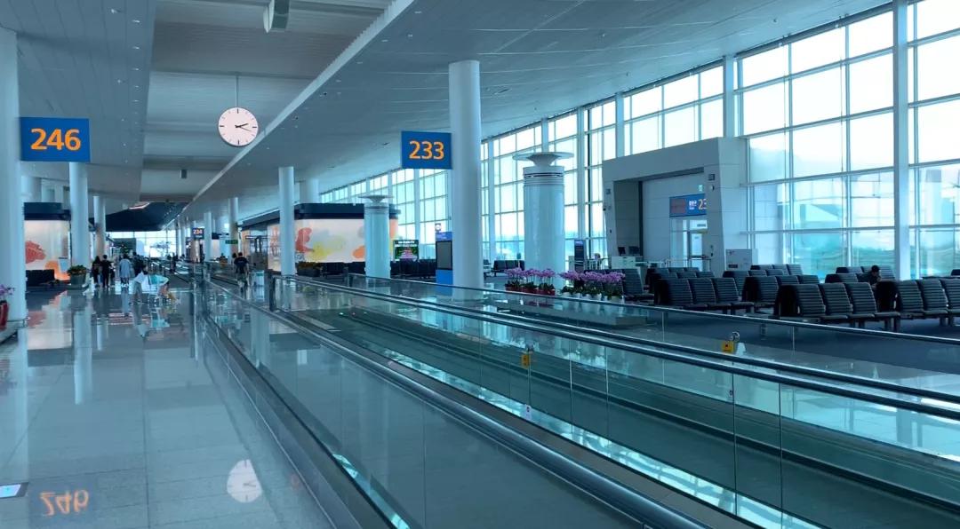 从日本留学回国如何再去日本,日本留学怎么在日本找工作