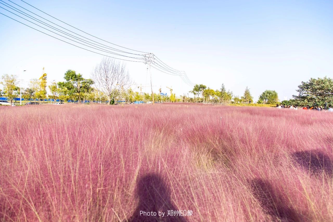 郑州地铁3号线转4号线,郑州地铁5号线景点适合3月打卡地