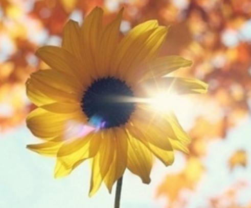 健身馆都有啥健身项目,爱运动的你去过哪里