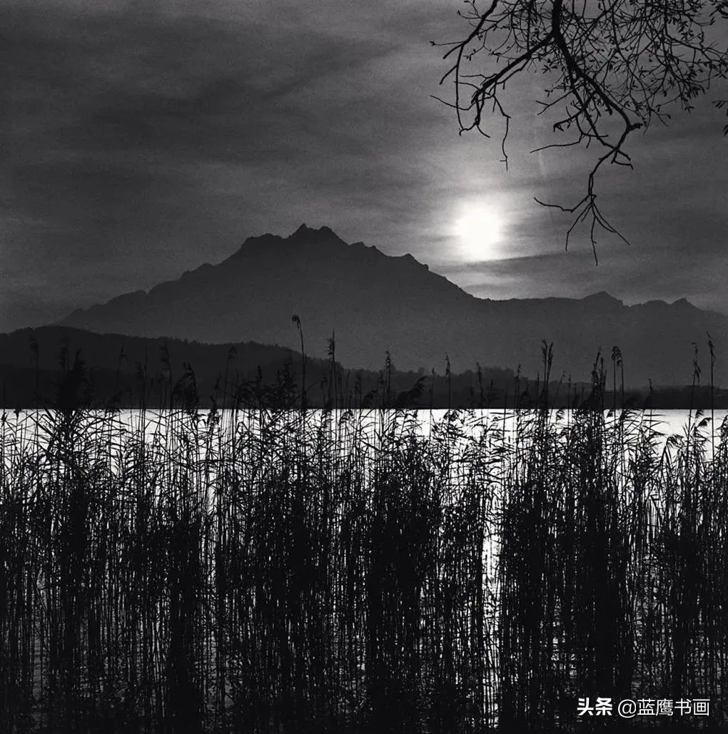 中国水墨画的艺术魅力,中国水墨画艺术特色