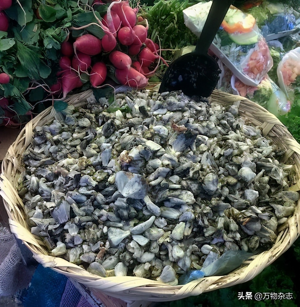 玉米坏了煮了会怎么样,玉米坏掉了