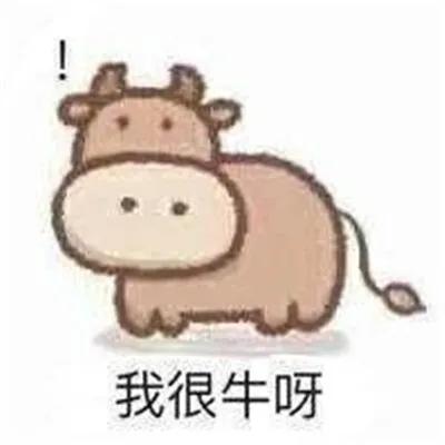 985211一抓一大把吗,昆山985