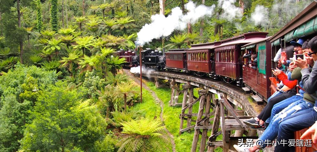 悉尼7日游自由行攻略,澳洲阿德莱德旅游攻略