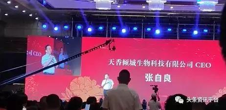 大蒜电子盘死灰复燃,牡丹国际大蒜电子盘交易历史数据