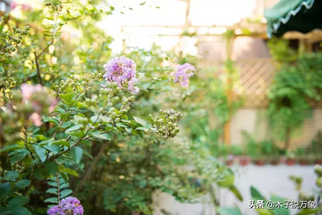 做了4年主持人、8年家庭主妇后，她从0开始成为CEO