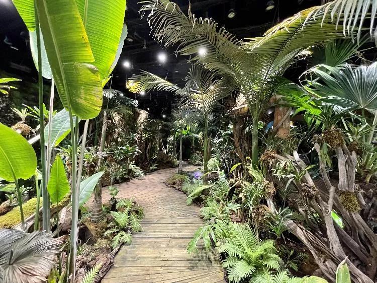 智汇八方｜卡通尼乐园打造博物馆互动游玩新体验