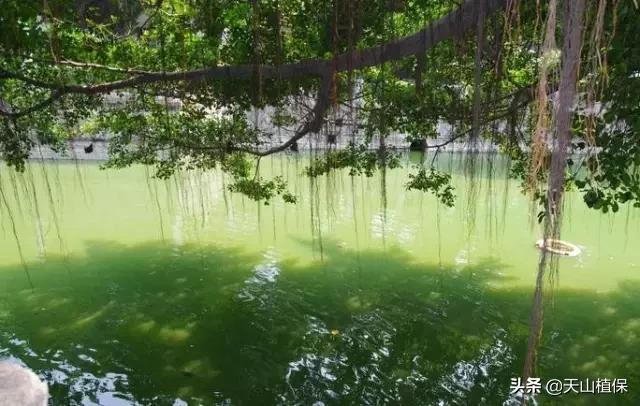 昌吉市最新城市发展规划,乌鲁木齐和昌吉是否相邻