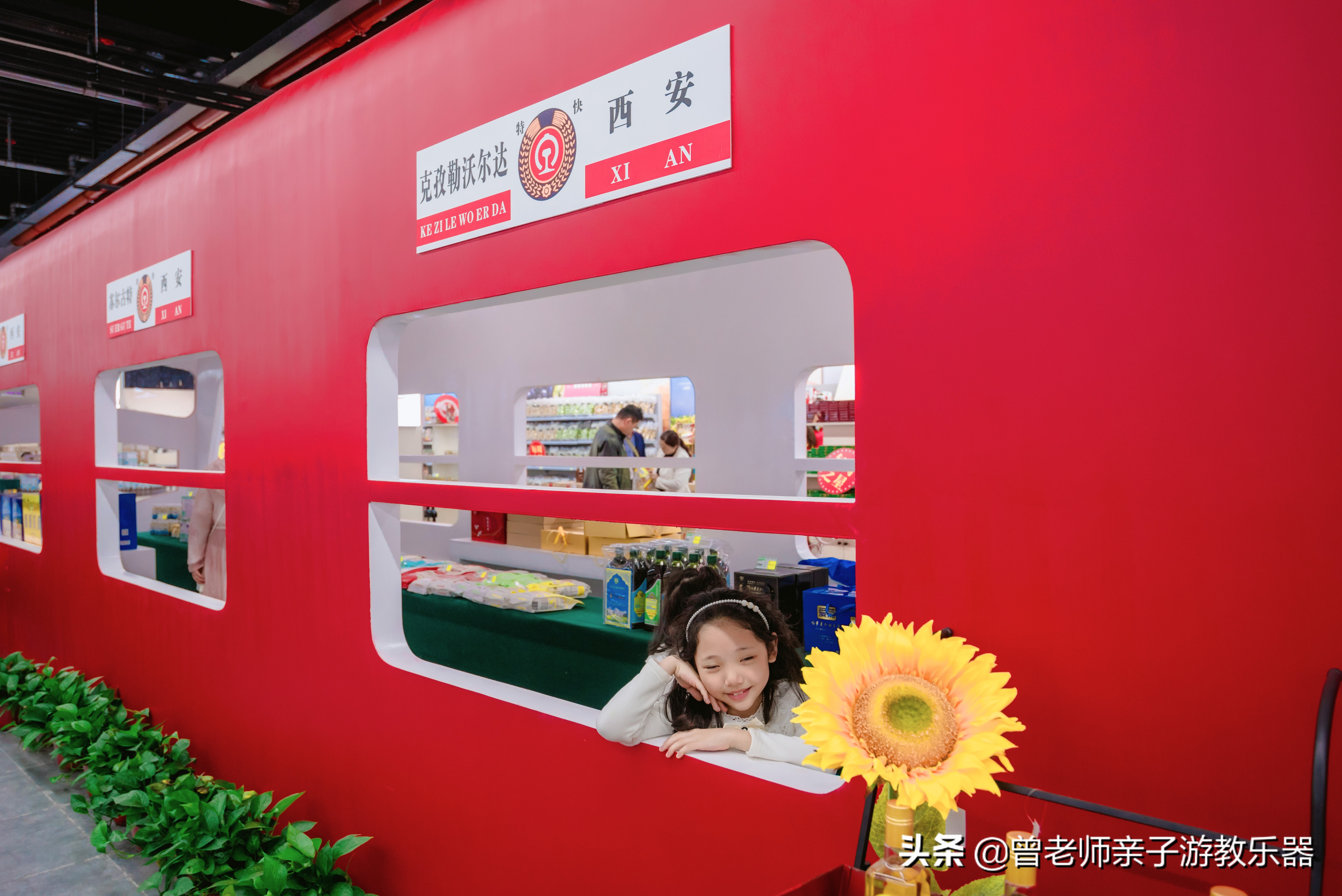 西安菊花节9.9元门票,爱菊菊花节怎么去